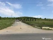 Teren 6,7 ha Dealul Daii langa Bavaria 