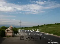 Teren 6,7 ha Dealul Daii langa Bavaria