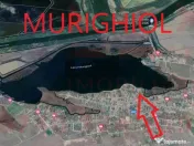 ID 7591 Teren INTRAVILAN - Comuna MURIGHIOL 