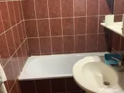 Inchiriere apartament cu o camera in zona Umt. 