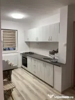 Apartament cu 2 camere in zona Elisabetin langa piata Crucii