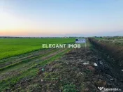 Teren pentru cartier rezidential 