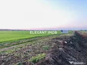 Teren pentru cartier rezidential 