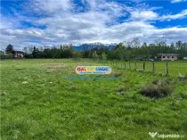 Teren Bran Zarnesti 3 km Castelul Bran 25 km Brasov