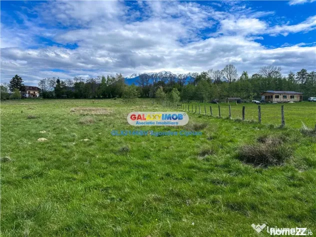 Teren Bran Zarnesti 3 km Castelul Bran 25 km Brasov - Bran (Brasov)