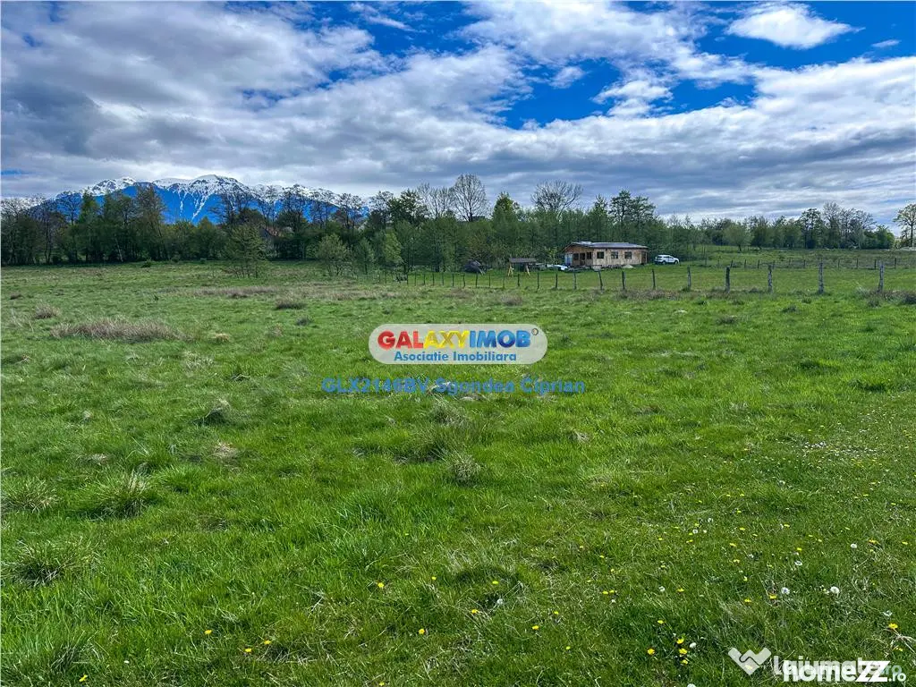 Teren Bran Zarnesti 3 km Castelul Bran 25 km Brasov - Bran (Brasov)