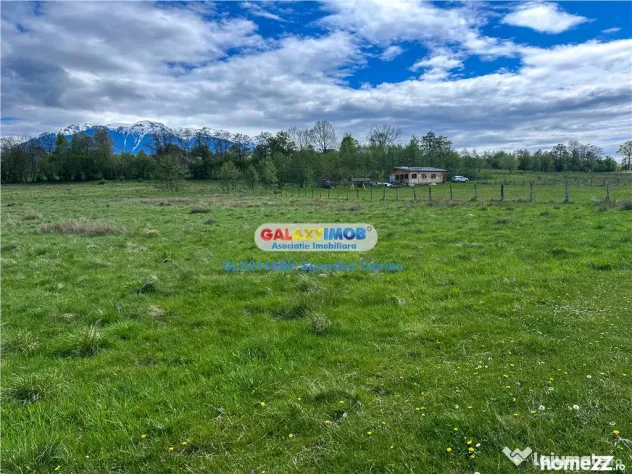 Teren Bran Zarnesti 3 km Castelul Bran 25 km Brasov - Bran (Brasov)