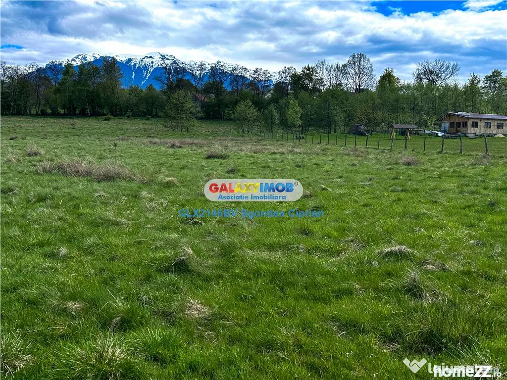 Teren Bran Zarnesti 3 km Castelul Bran 25 km Brasov - Bran (Brasov)