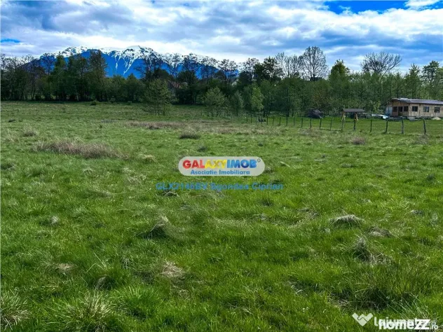 Teren Bran Zarnesti 3 km Castelul Bran 25 km Brasov - Bran (Brasov)