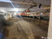 Inchirez ferma pentru pasari zona Gradiste - ID : RH-37819 