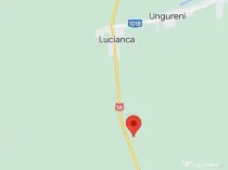 Teren extravilan 10.000 mp - Lucianca - Butimanu