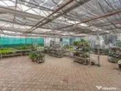 CASA BARTOLOMEU- sediu firma/ comercial/ servicii- zona c... 