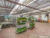 CASA BARTOLOMEU- sediu firma/ comercial/ servicii- zona c... 