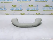 Maner plafon 6n0857607f Volkswagen VW Golf 4 [1997 - 2006]