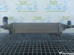 Radiator intercooler y8396005 1.6  Nissan Qashqai  J10 (facelift) [201