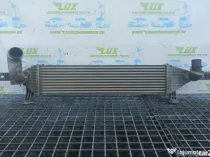 Radiator intercooler y8396005 1.6  Nissan Qashqai  J10 (facelift) [201