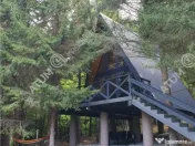 Casa tip A Frame de inchiriat in Avrig zona Valea Avrigului 