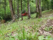 Casa tip A Frame de inchiriat in Avrig zona Valea Avrigului 