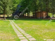 Casa tip A Frame de inchiriat in Avrig zona Valea Avrigului 