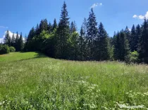 Predeal-Teren intravilan de vanzare