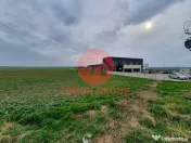 Teren 10000 mp INTRAVILAN Constanta 