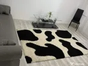 Apartament 2 camere zona Aradului 