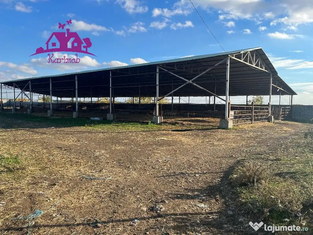 Teren industrial si o constructie pe structura metalica