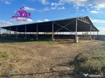 Teren industrial si o constructie pe structura metalica