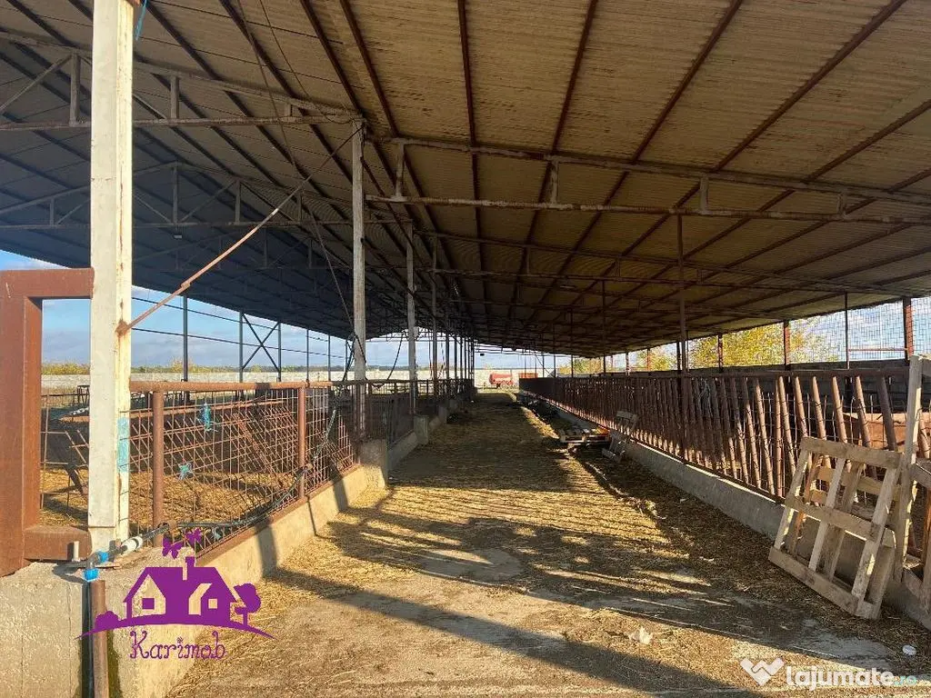 Teren industrial si o constructie pe structura metalica