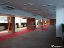 Birouri Theodor Pallady, Bucuresti