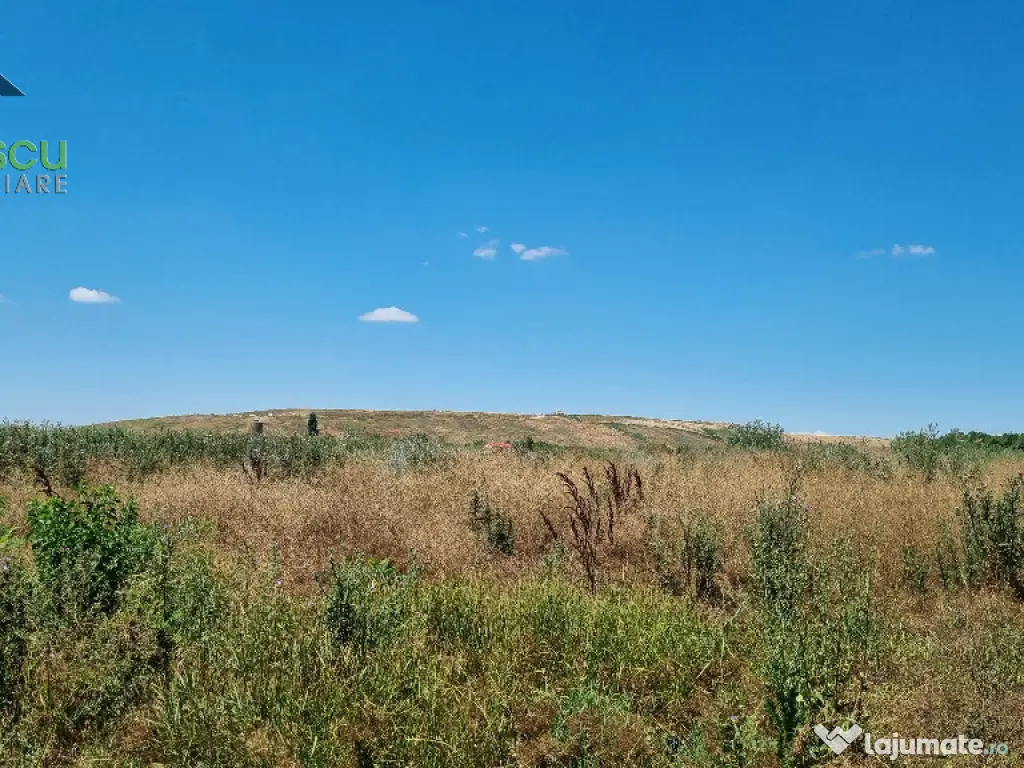 Teren Drum la Chiajna, sector 6, 11.350 mp, D 33 ml