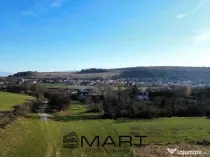 Teren extravilan 650mp Rusciori