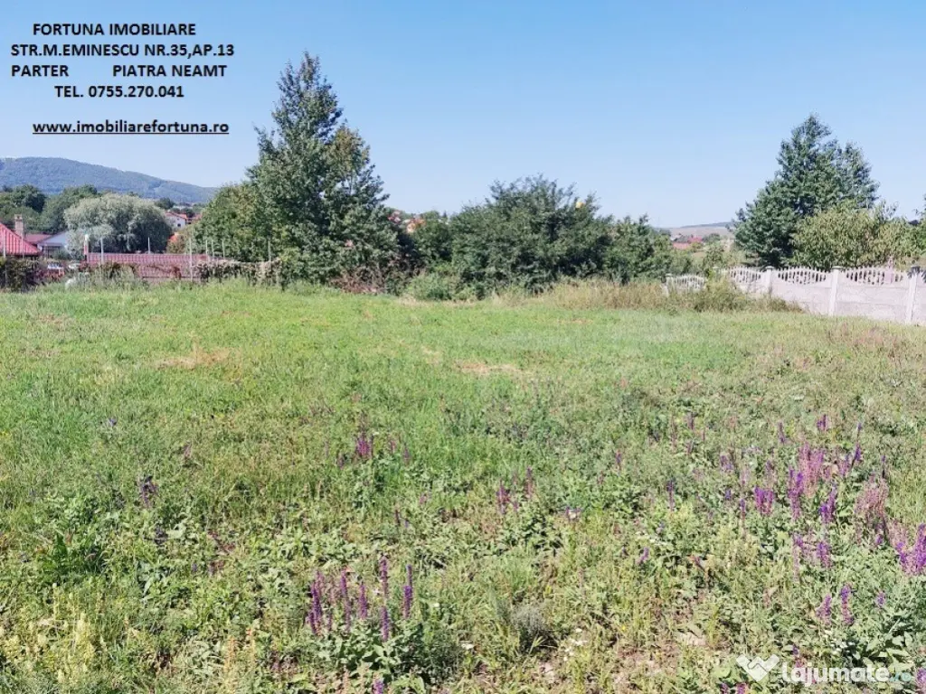 Teren intravilan Piatra Neamt