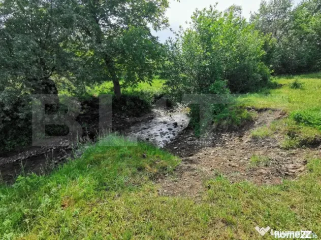 Teren, aproximativ 1 ha, in apropiere de Bistrita - Bistrita (Bistrita-Nasaud)