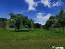 Teren, aproximativ 1 ha, in apropiere de Bistrita