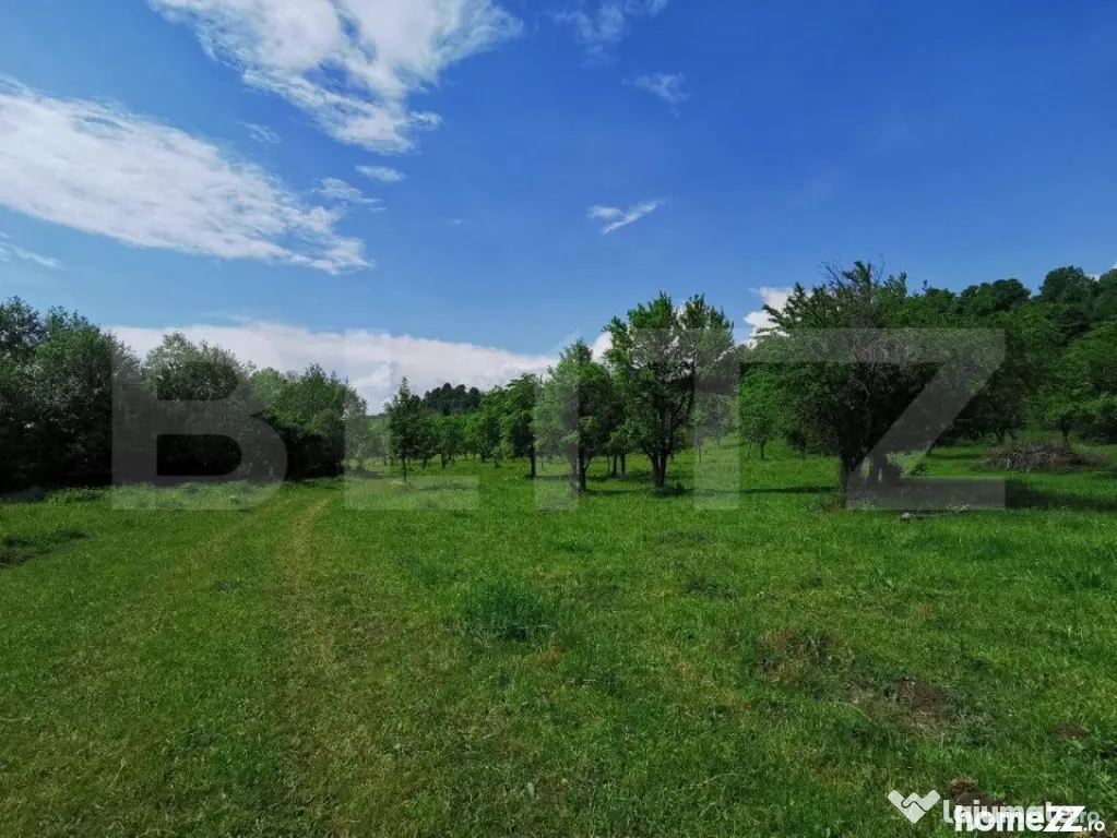 Teren, aproximativ 1 ha, in apropiere de Bistrita - Bistrita (Bistrita-Nasaud)