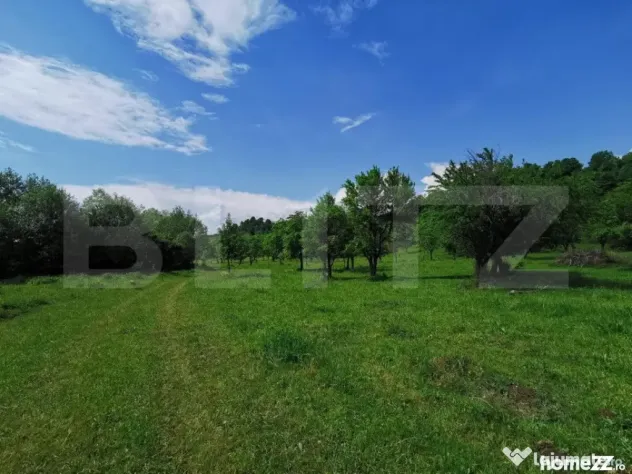Teren, aproximativ 1 ha, in apropiere de Bistrita - Bistrita (Bistrita-Nasaud)