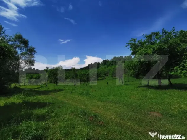 Teren, aproximativ 1 ha, in apropiere de Bistrita - Bistrita (Bistrita-Nasaud)