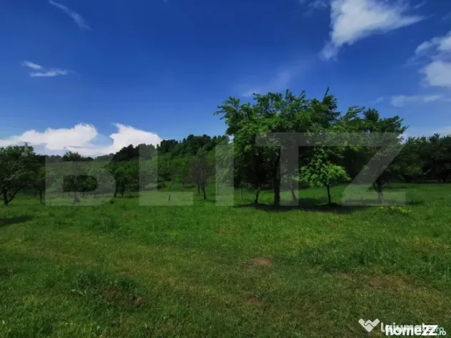 Teren, aproximativ 1 ha, in apropiere de Bistrita - Bistrita (Bistrita-Nasaud)