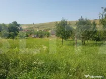 Teren intravilan Campenesti, 11600 mp, 43 ml front, pentru a