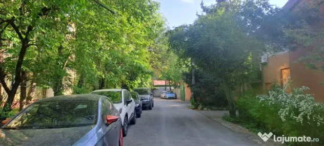 2 camere tip Boutique | Campia Libertatii