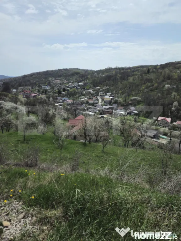 Oportunitate de Investiție în Runcu: Reședință cu Veder - Runcu (Dambovita)