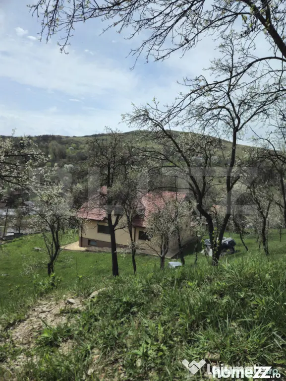 Oportunitate de Investiție în Runcu: Reședință cu Veder - Runcu (Dambovita)