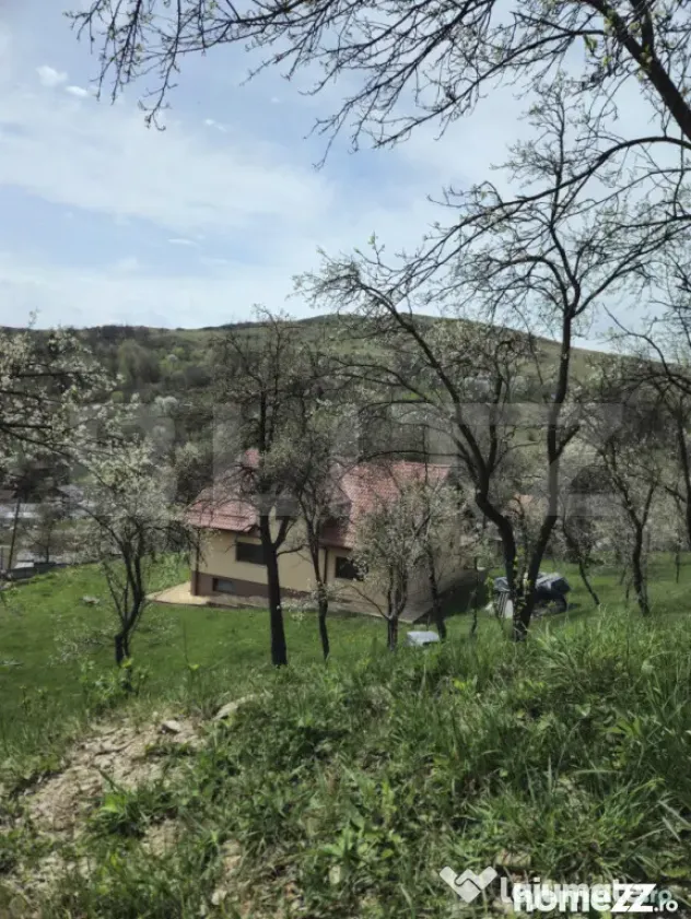 Oportunitate de Investiție în Runcu: Reședință cu Veder - Runcu (Dambovita)