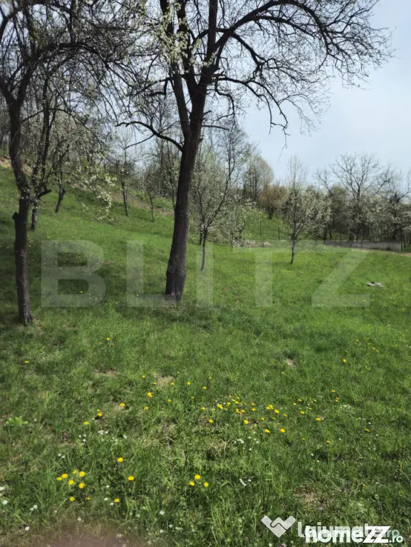 Oportunitate de Investiție în Runcu: Reședință cu Veder - Runcu (Dambovita)