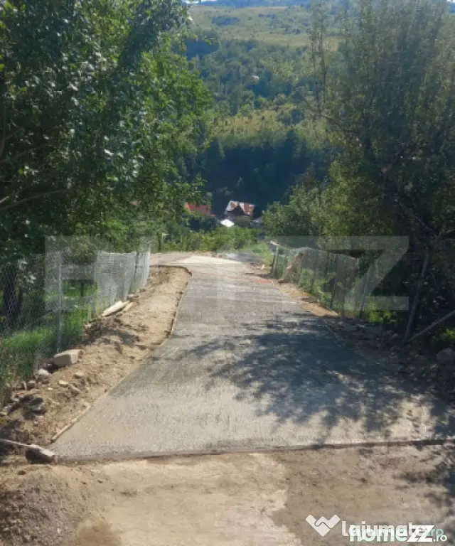 Oportunitate de Investiție în Runcu: Reședință cu Veder - Runcu (Dambovita)