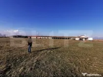 Teren intravilan, arabil, 39 ha, Sanmartinul Sarbesc