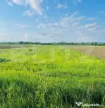 Teren 5500mp extravilan,Sat Dimoiu