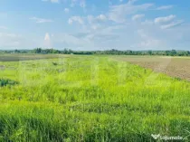 Teren 5500mp extravilan,Sat Dimoiu