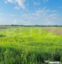Teren 5500mp extravilan,Sat Dimoiu